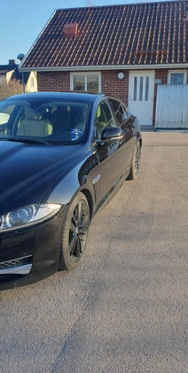 Jaguar XF cena 51000 przebieg: 167000, rok produkcji 2013 z Kutno małe 46